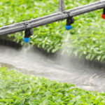 Sistemas de Riego Eficientes: Proyectos Hidráulicos que optimicen el uso del Agua